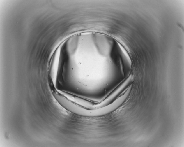 X0000098151532200805081031