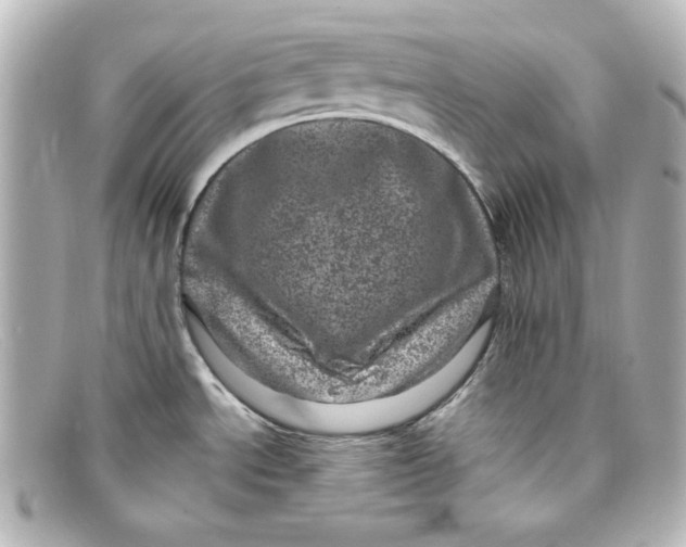 X0000098151534200805081031