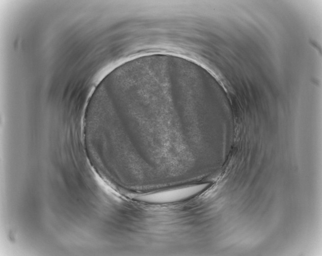 X0000098151535200805081031