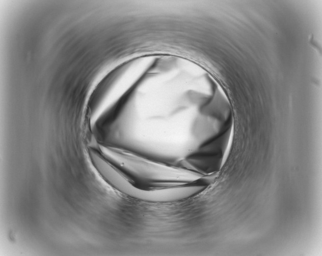 X0000098151536200805081031
