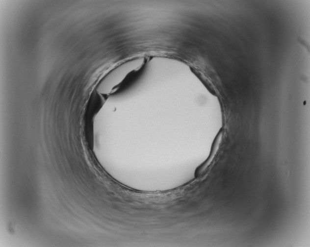 X0000098150001200805151216