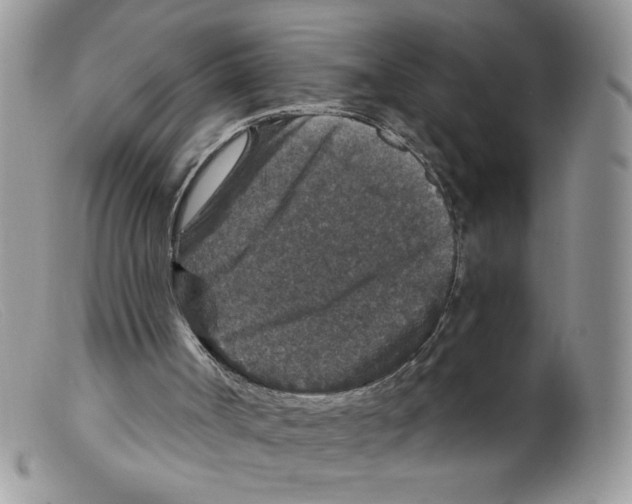 X0000098150002200805151216