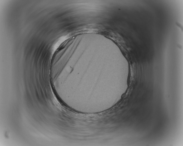 X0000098150003200805151216