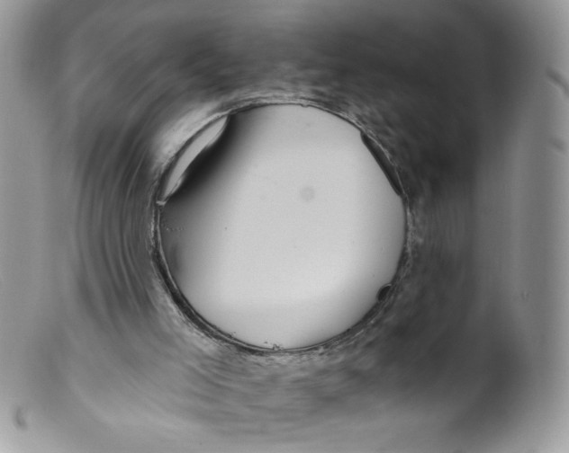 X0000098150005200805151216