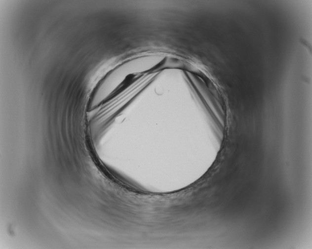 X0000098150007200805151216