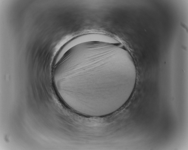 X0000098150008200805151216