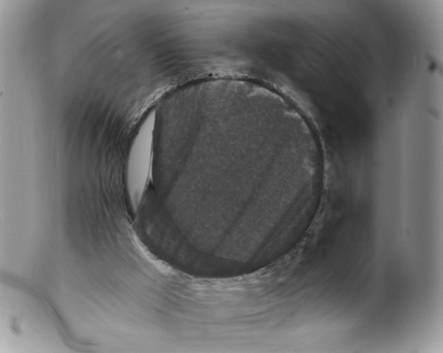 X0000098150009200805151216