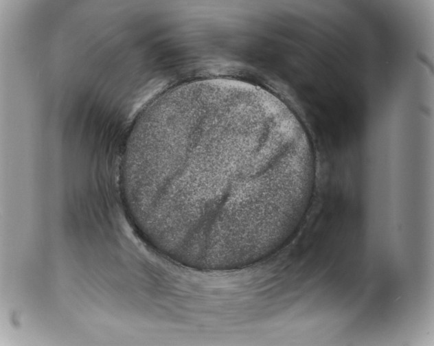 X0000098150010200805151216