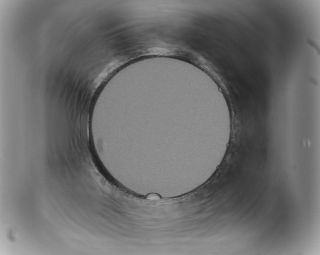 X0000098150011200805151216