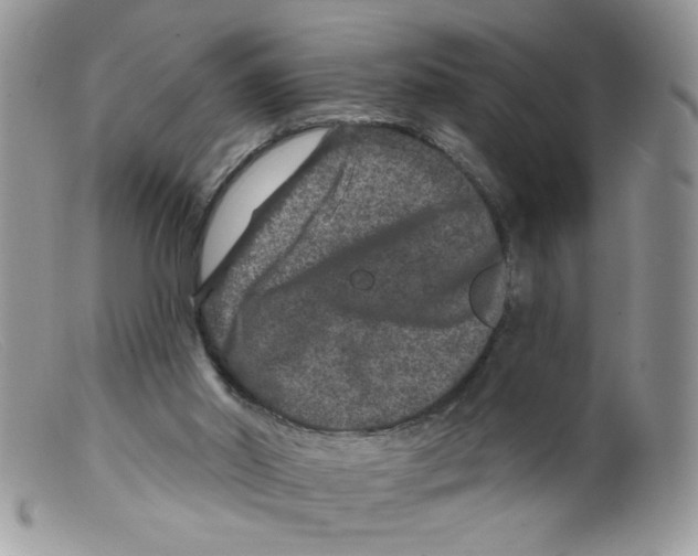 X0000098150014200805151216