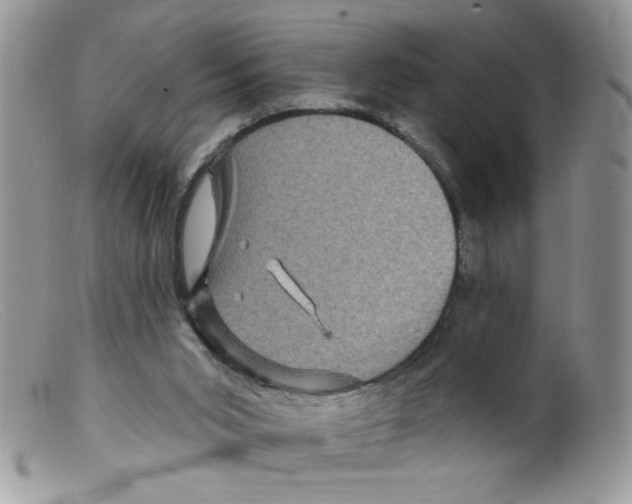 X0000098150015200805151216