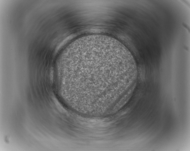 X0000098150016200805151216