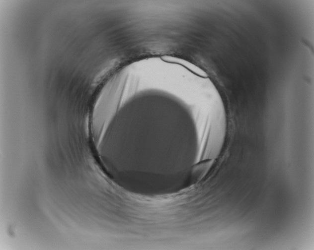 X0000098150019200805151216