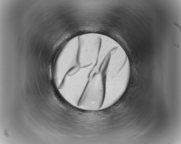 X0000098150020200805151216