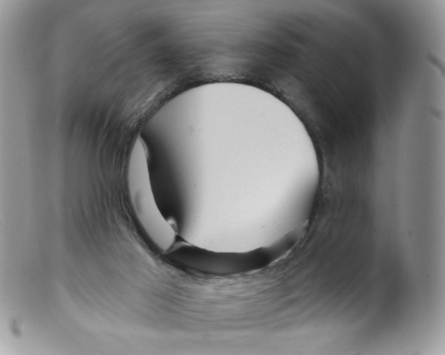 X0000098150021200805151216