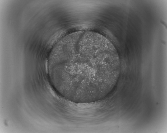 X0000098150022200805151216