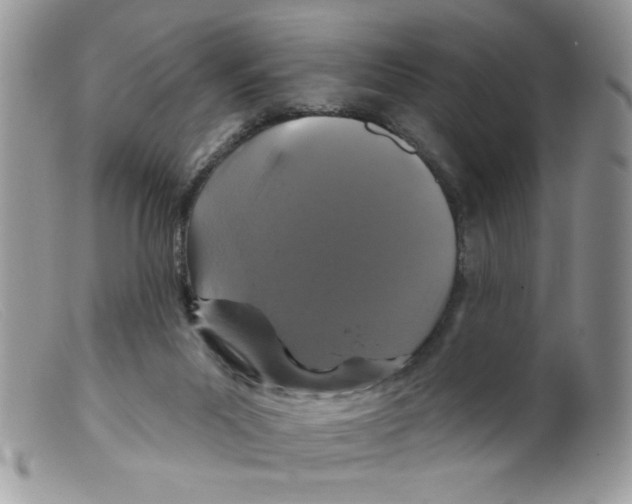 X0000098150023200805151216