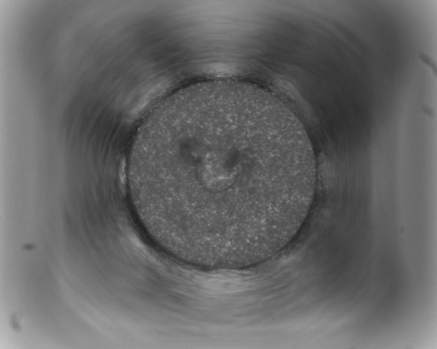 X0000098150024200805151216