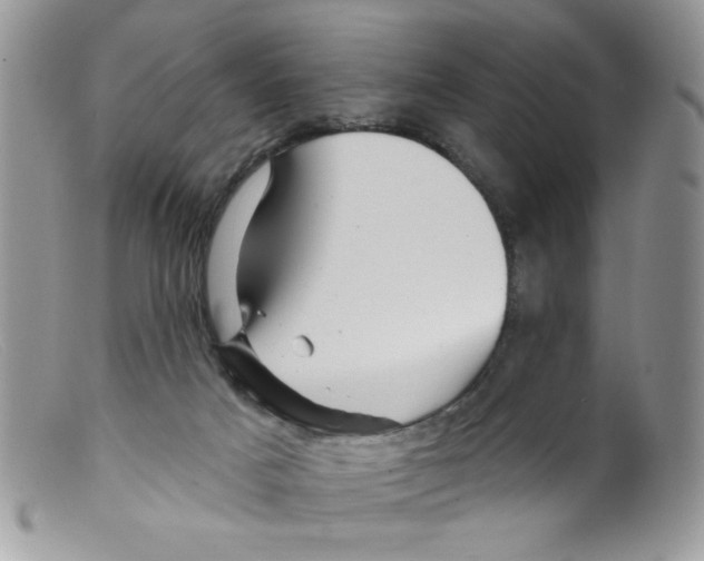 X0000098150025200805151216