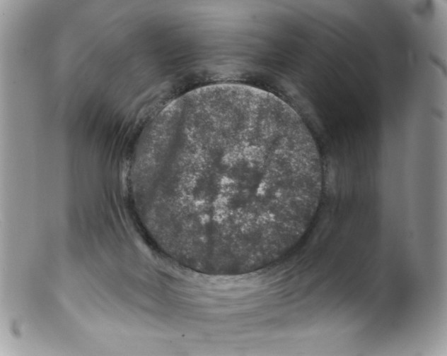 X0000098150026200805151216