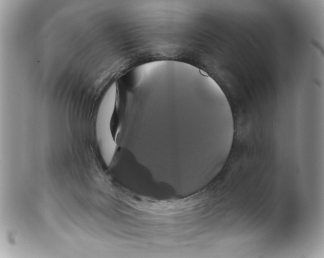 X0000098150027200805151216