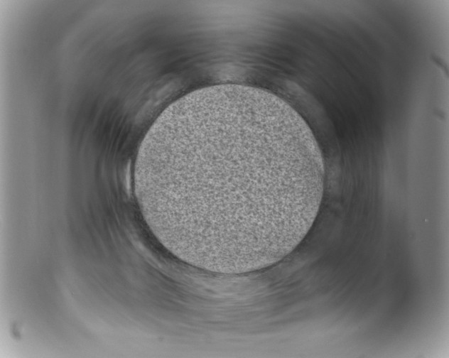 X0000098150028200805151216