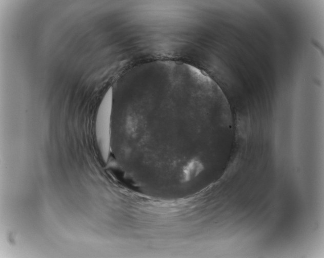 X0000098150029200805151216