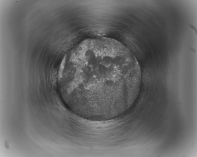 X0000098150030200805151216