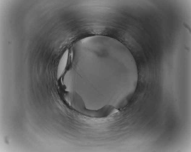 X0000098150031200805151215