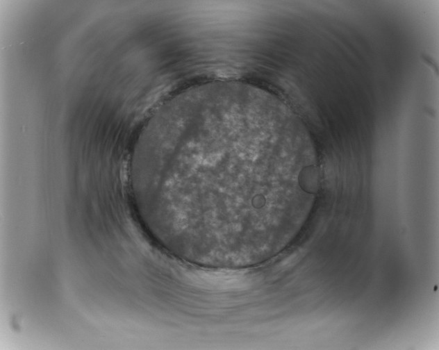 X0000098150032200805151215