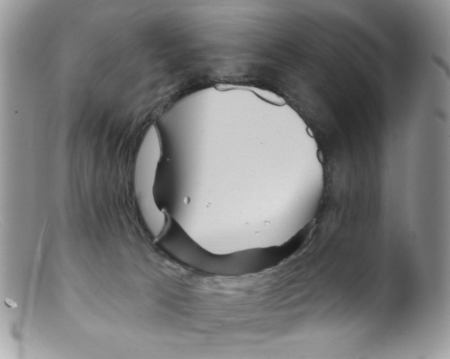 X0000098150033200805151215