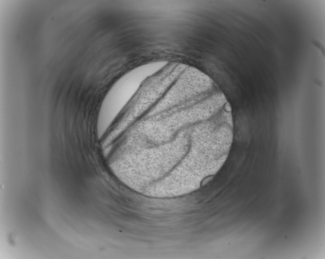 X0000098150034200805151215