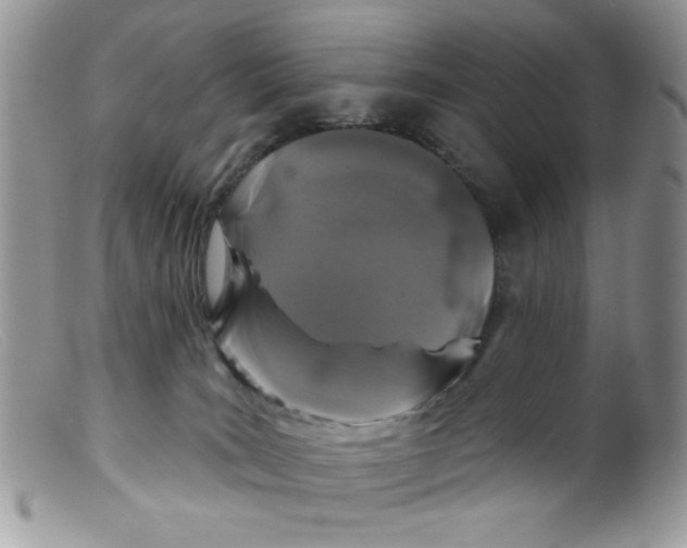 X0000098150035200805151215