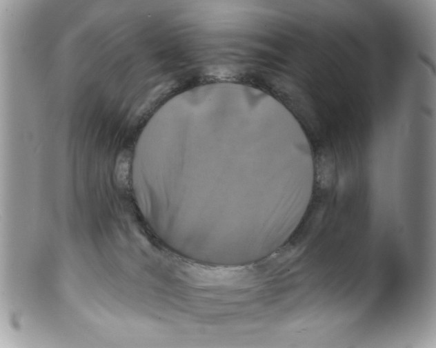 X0000098150036200805151215