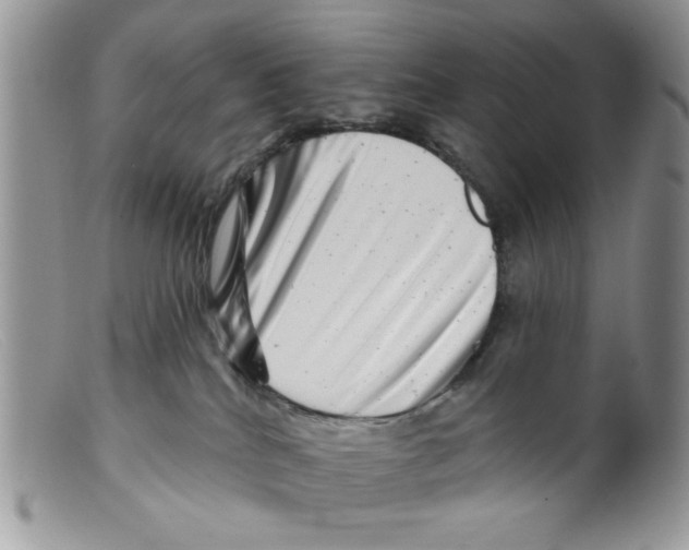 X0000098150040200805151215