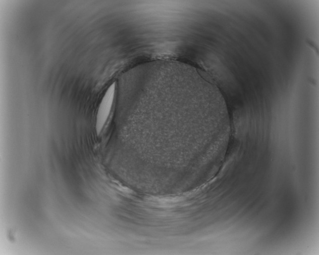 X0000098150041200805151215