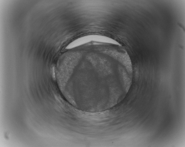 X0000098150042200805151215