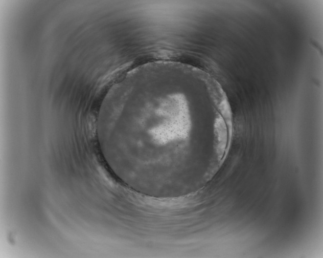 X0000098150043200805151215