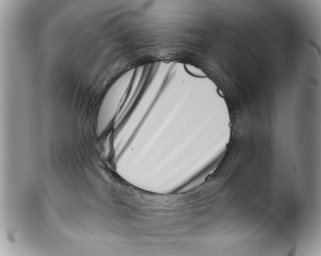 X0000098150044200805151215