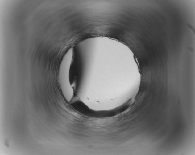 X0000098150045200805151215