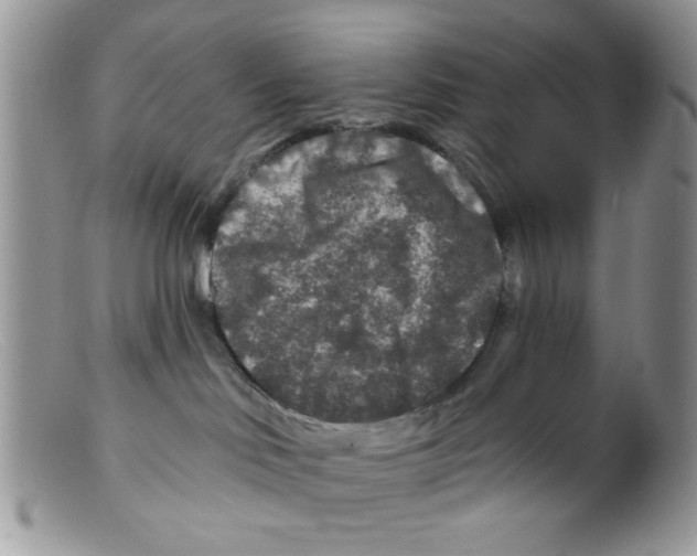 X0000098150046200805151215