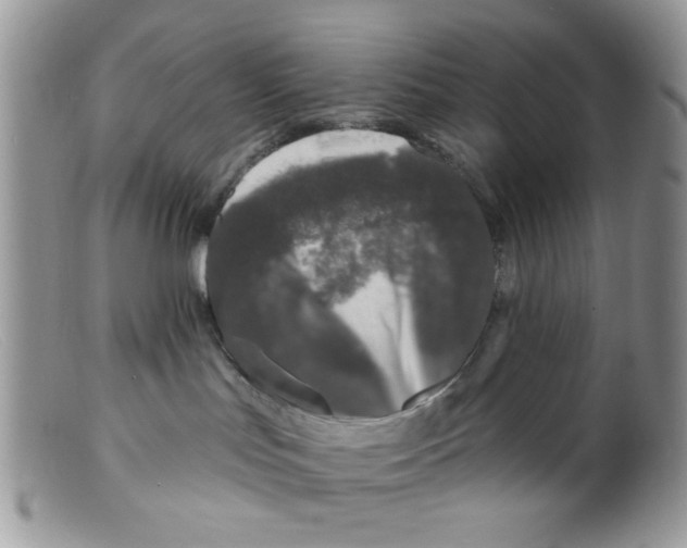 X0000098150047200805151215