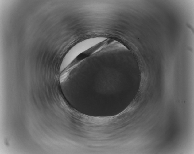 X0000098150048200805151215