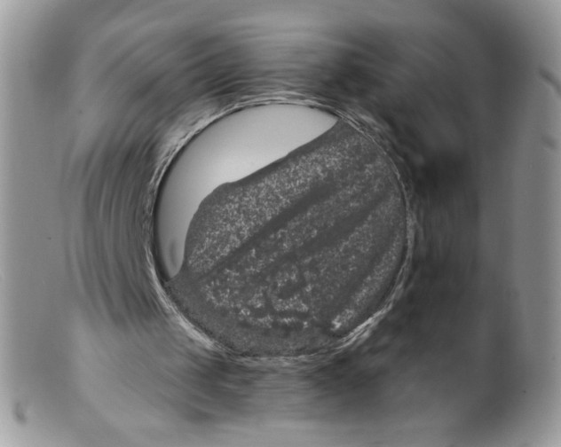 X0000098150049200805151215