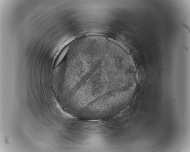 X0000098150050200805151215