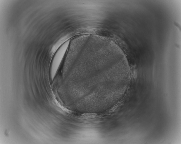 X0000098150051200805151215