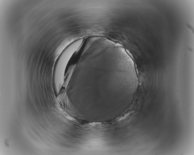 X0000098150052200805151215