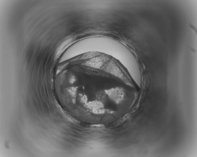 X0000098150053200805151215