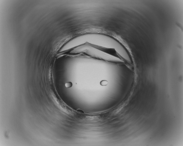 X0000098150057200805151215