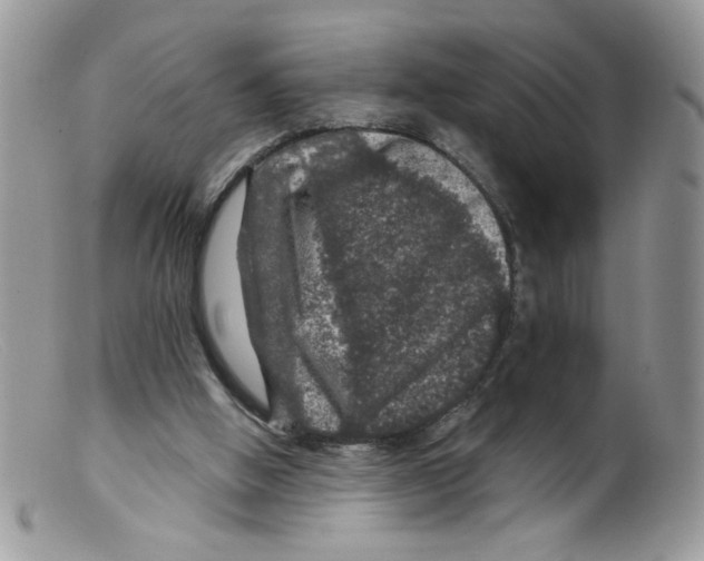 X0000098150058200805151215